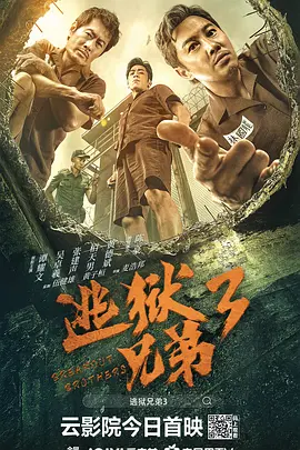 使劲c我吧小说