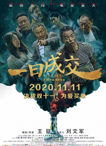 国内精品久久久久久精品久久