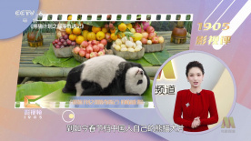 五月激情综合婷婷